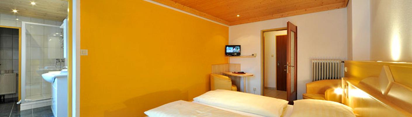 Singleroom "Auernig"