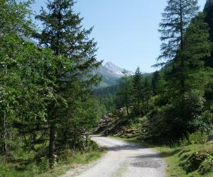 Escursione in montagna "Säuleck"