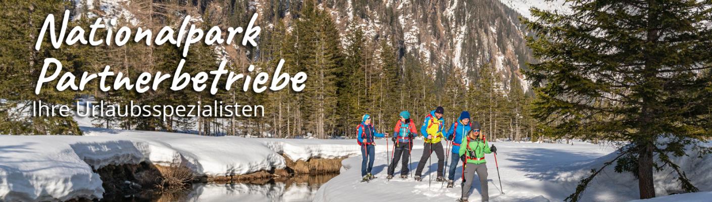 Wildtierbeobachtung mit Nationalparkranger