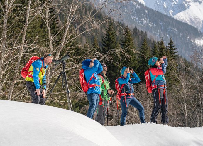 Wildtierbeobachtung mit Nationalparkranger im Winter