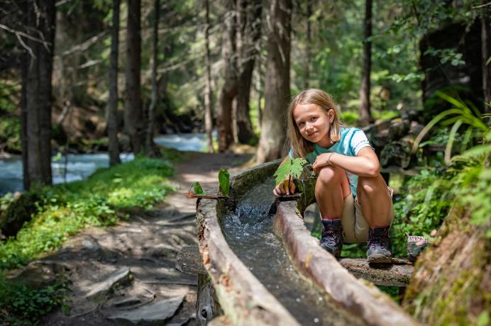 Den Nationalpark endecken